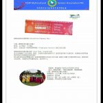 2019年3月24日星期日聯友會三個團隊參加了Strathfield Council合諧日的慶祝演出